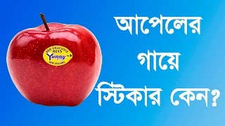 why sticker on apple ~~ আপেলের গায়ে স্টিকার কেন