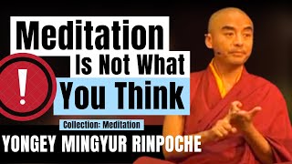 Meditation Is Not What You Think - Yongey Mingyur RInpoche | LSE 2018 【C:Y.M.R Ep.7】