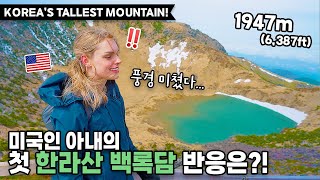 WE DID IT!!! 😭 Hiking to the peak of Korea’s TALLEST mountain! 🗻 *REACTION* (Hallasan - Jeju, SK)