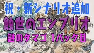 【FF11】2020年8月VU！新シナリオ「蝕世のエンブリオ」を体験！