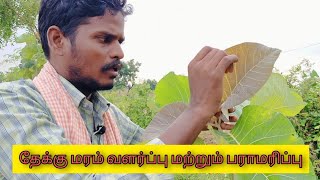 தேக்கு மரம் வளர்ப்பு மற்றும் பராமரிப்பு பகுதி 2 | Teak Tree Cultivation  | Ungal Vivasayi