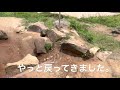 航平さんの観光案内　糸島塚原遺跡