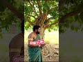 முயற்ச்சி