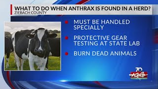 Anthrax: A biblical plague that can happen today?