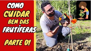 👉✅COMO CUIDAR DE FRUTÍFERAS - Parte 01 ( GUIA COMPLETO)