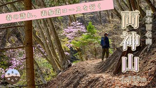 【 百名山 両神山 】アカヤシオが咲く表参道　日向大谷登山口からの日帰り登山