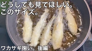 【ワカサギ掬い】　琵琶湖の大きなワカサギ天ぷら。（後編）