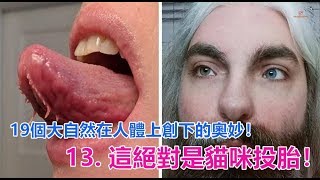 19個大自然在人體上創下的奧妙！~~~~  13  這絕對是貓咪投胎！