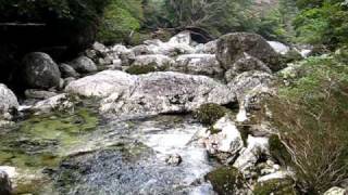 屋久島 Yakushima Hiking, river crossing on the 尾之間 Onoaida trail route