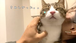 お母ちゃんが帰宅した喜びを噛みしめる猫