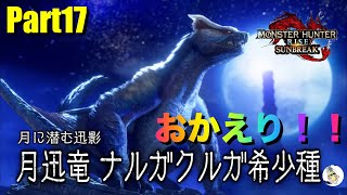 【サンブレイク】おかえり！！ついにアプデ！！初見でナルガクルガ希少種を狩っていく！！Part 17 ＃17【モンハン】