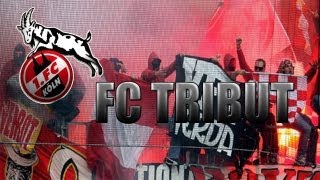 1. FC KÖLN - Rot,Weiße Wand - Tribut [HD]