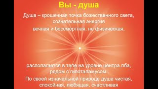 Размышление о себе - ДУШЕ: форма, качества, тонкие способности. Беседа со своей совестью о Знании.