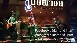 แพ้ทาง - LABANOON(Cover by Diamond inter)