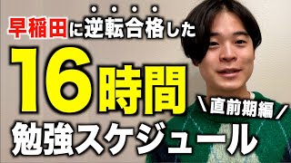 【16時間勉強】早稲田に合格できた直前期の勉強スケジュール