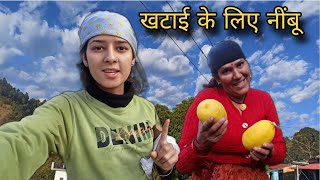 #day7 आज के ब्लॉग के लिए Sorry 😐| pahadi life style | Ritu Bisht