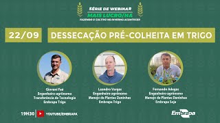 DESSECAÇÃO PRÉ-COLHEITA EM TRIGO