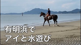 有明浜でアイと水遊び🏖️　引退競走馬のアイ🏇