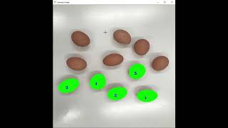 Use OpenCV to count eggs
