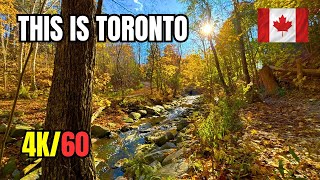 Toronto's BEST Autumn River Trail With A DOG PARK - How COOL