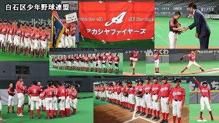 白石区少年野球連盟＜2019FIGHTERS BASEBALL CHAMPIONSHIP U-12＞