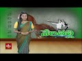 మొదటి 6 వారాలు చాలా కీలకం country chicken farming hmtv agri