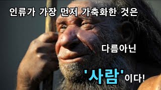 사람이 가장 먼저 길들인 건 바로...