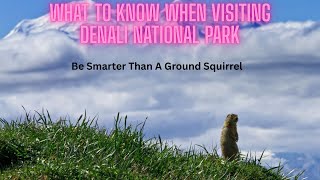 WHAT TO KNOW Before Visiting Denali National Park