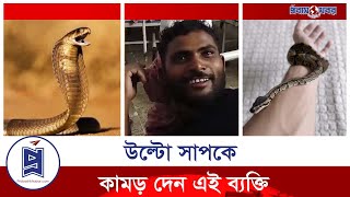 এবার মানুষের কামড়ে সাপের মৃ* ত্যু | Probash Khabor