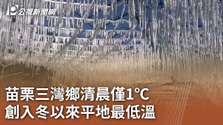 苗栗三灣鄉清晨僅1℃ 創入冬以來平地最低溫｜20250113 公視中晝新聞