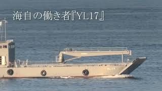 海自の働き者『YL17』