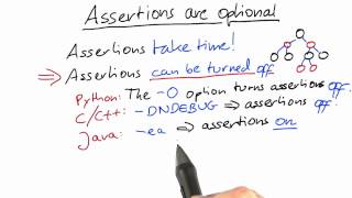 Assertions Are Optional - Software Debugging