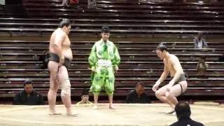 Obamaumi (3-0) - Hikarugenji (2-1) , Sumo : Natsubasho '16