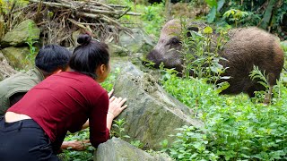 Life off the grid in the mountains, mountain gardening, protecting crops from wild animals