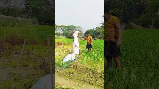 হুজুরের সাথে বিটলামি কেমনে করে বন্ধুরা দেখেন funny video 🤣