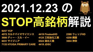 12/23 ストップ高株解説！YCP,カルナバイオサイエンス,Finatext,ウェッジ,DLE,三和油化工業,網屋,サイジニア,湖北工業,神栄,HYUGA PRIMARY CARE,JDSC