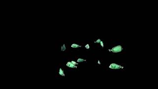 Copy right free Fish Black screen | 4k | Fish Aquarium