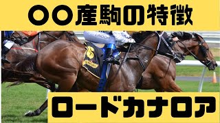 【ロードカナロア産駒の特徴】距離適性・重馬場適正について解説