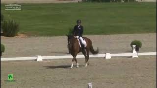 Carlos Parro - Safira (01/06/2023) - Millstreet (CCI3*L - Dressage)