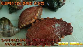 비화백수님의 홍해삼 손질법 - 면역기능 강화제, 노화방지, 정력에 좋다고 ♡♡