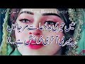 Main Tere Bad Dua Se Mar Jao !! | Broken Heart 2 Line Poetry | Touching Lines Poetry | Urdu Poetry