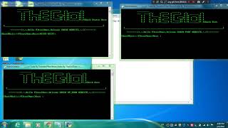 Python Check Status codes host .