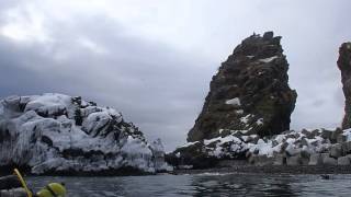 冬の北海道ドライスーツダイビング