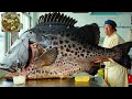 Explore Japanese Cuisine, How the Japanese Turn $1Million Spotted Knifejaw Into Delicious Dishes