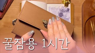 ✨수면용 영상 다꾸 ASMR 1시간✨13 | for sleep | relaxing sounds | scrapbooking | 꿀잠용 영상