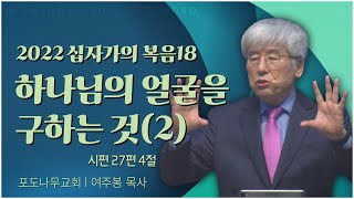 포도나무교회 여주봉 목사┃2022 십자가의 복음18 하나님의 얼굴을 구하는 것(2) [C채널] 말씀의창