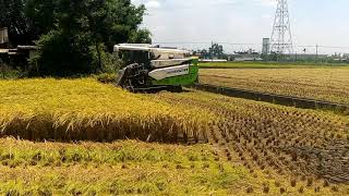 Rice Harvester Yanmar AW6120 | PLANET FARMING