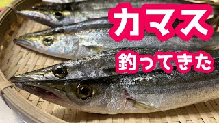 【釣り】カマス釣り初心者の軌跡！24時間待機の末の10分の時あいを待つ…！女子ソロ釣り】