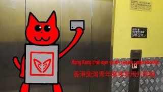 Cargo elevator at hong kong youth square from chai wan (香港柴灣青年廣場貨用升降機)