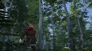 Unity procedural real land design - Normandy forest density test